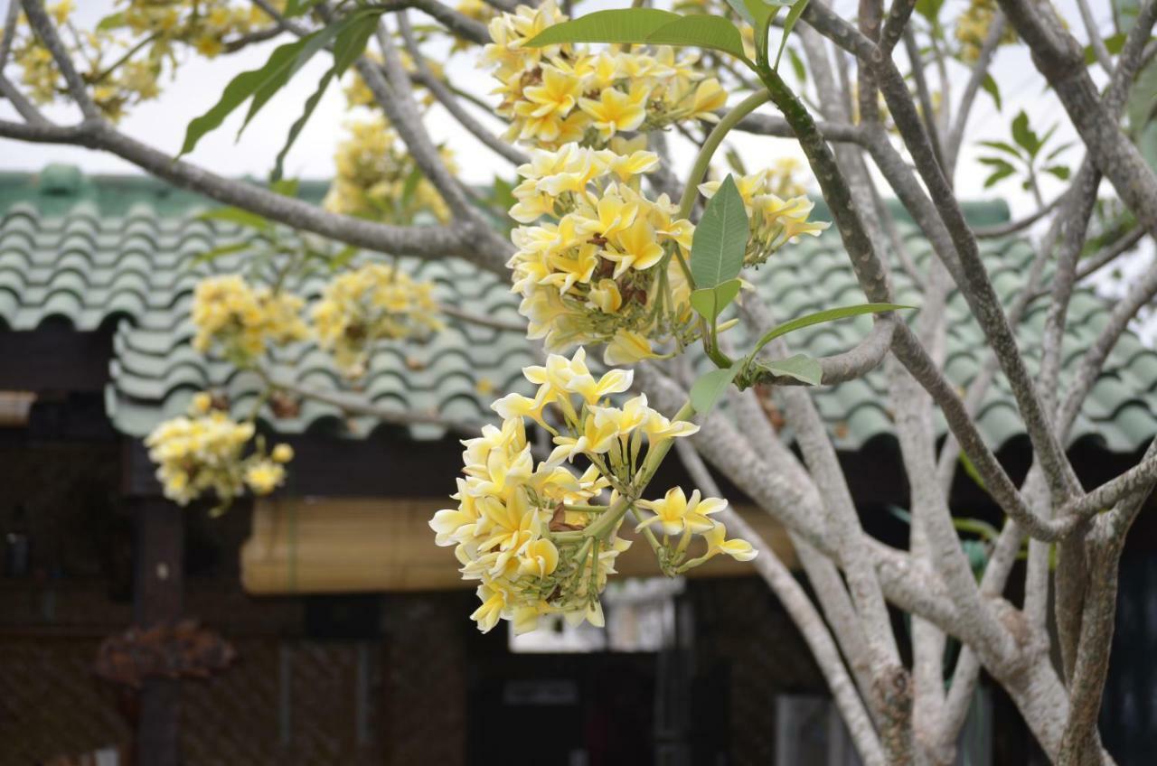 Montongbuwoh Villa Yukie Senggigi מראה חיצוני תמונה